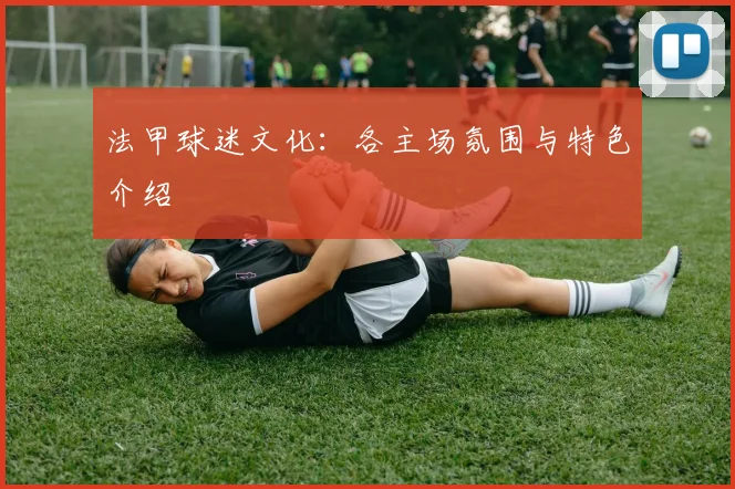 法甲球迷文化：各主场氛围与特色介绍